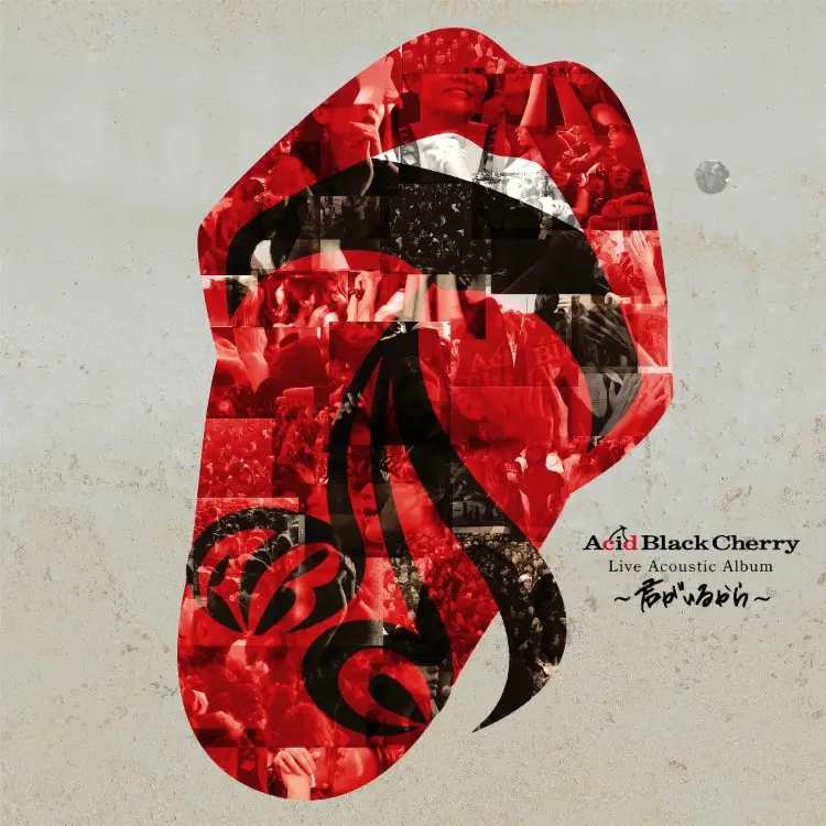 Portada del álbum Acid Black Cherry Live Acoustic Album ~Kimi ga iru kara~