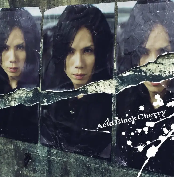 Portada del álbum Fuyu no maboroshi