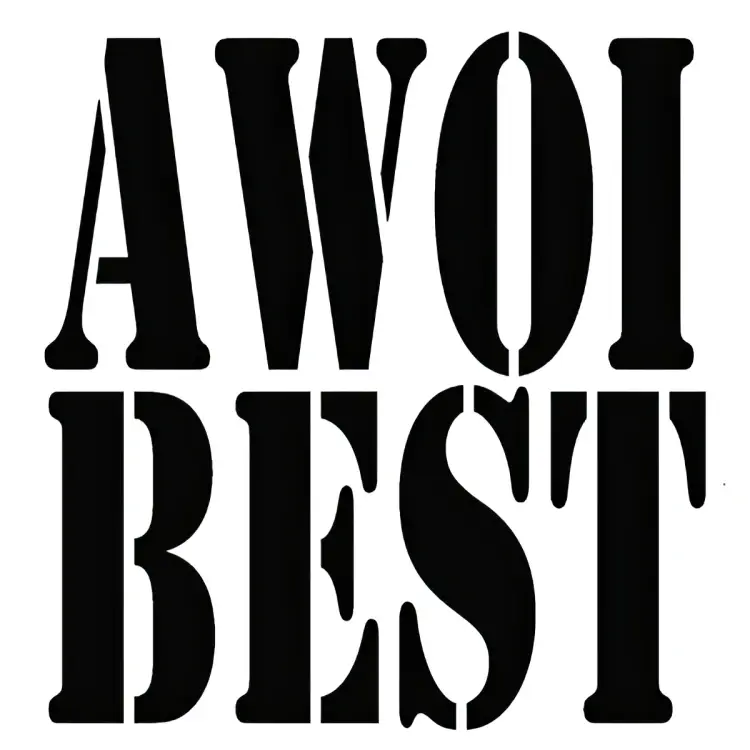 Portada del álbum AWOI BEST