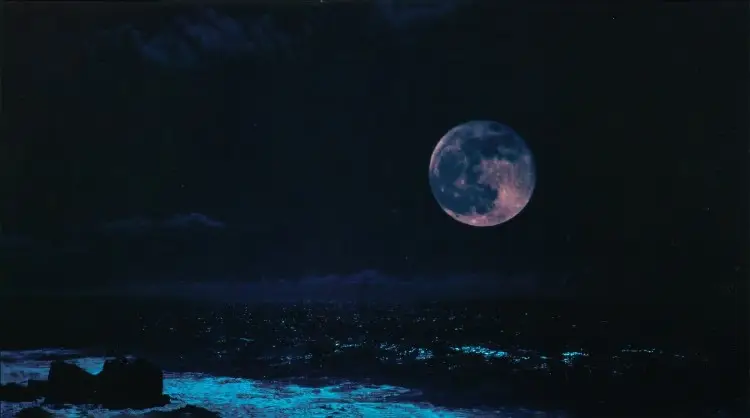 Portada del álbum JUPITER