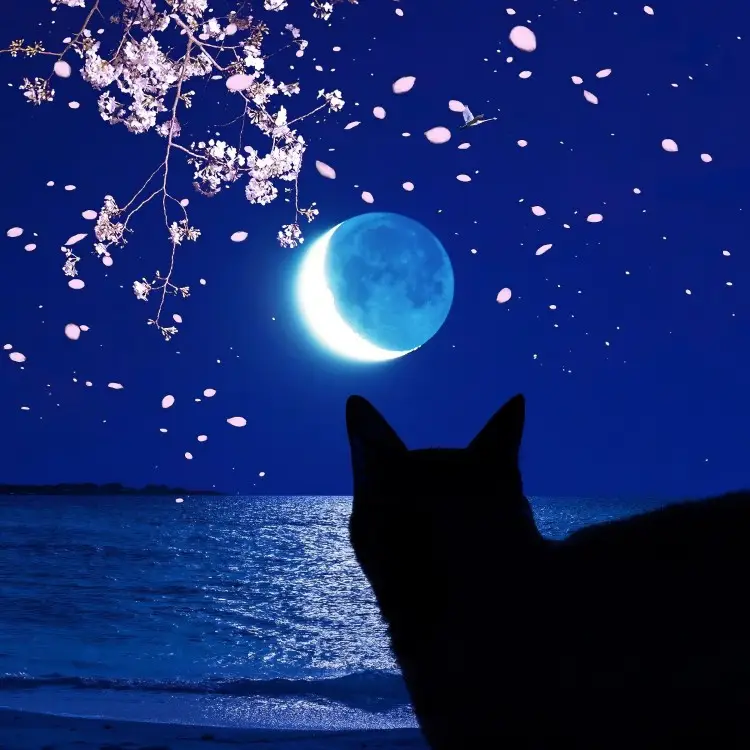 Portada del álbum Mabushikute Mienai _ Freedom Freedom Paradise Lost