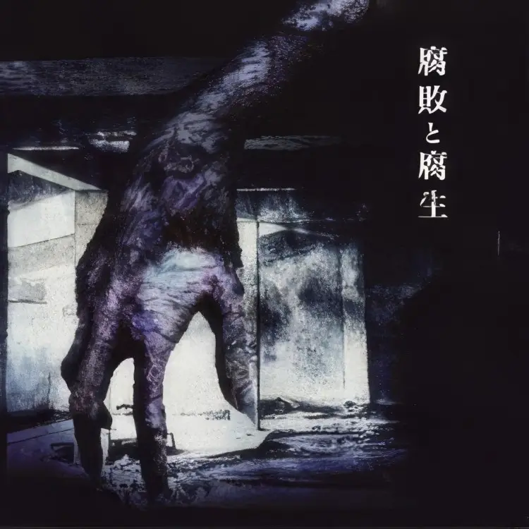 Portada del álbum Fuhai to fusei