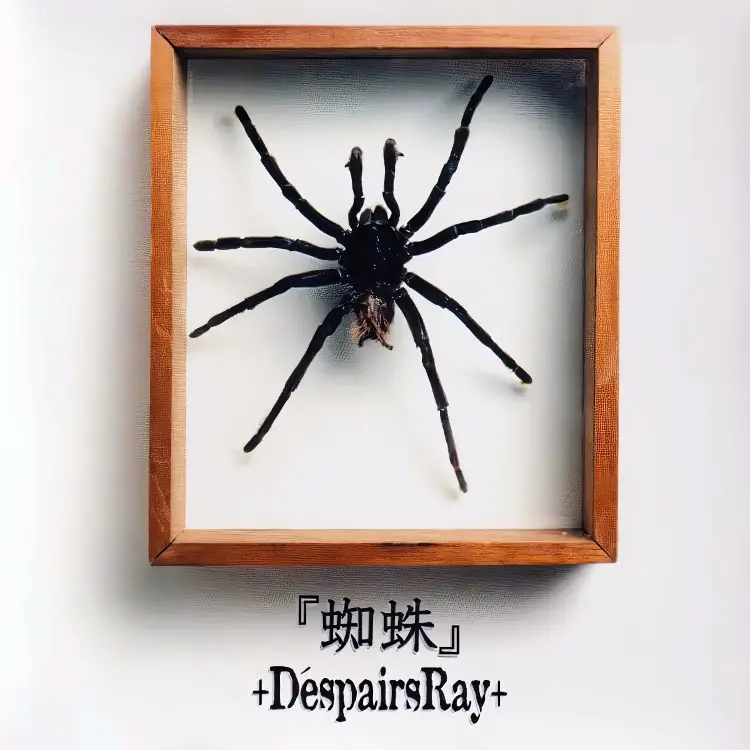 Portada del álbum Kumo