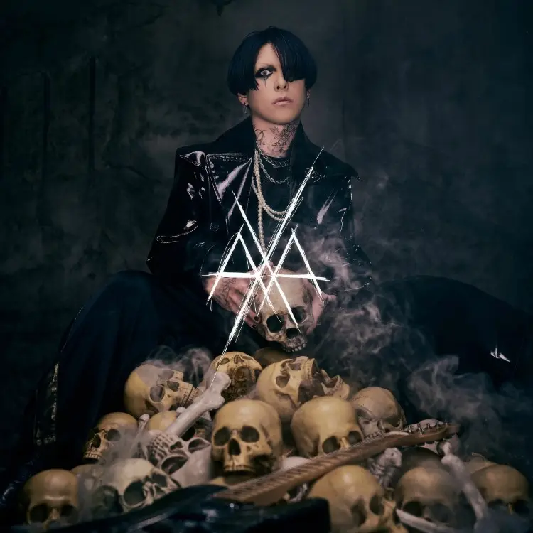 Cover: B・D・B・S