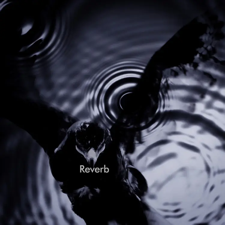 Reverb