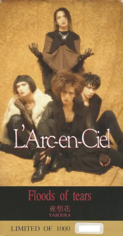 Portada del álbum Floods of tears