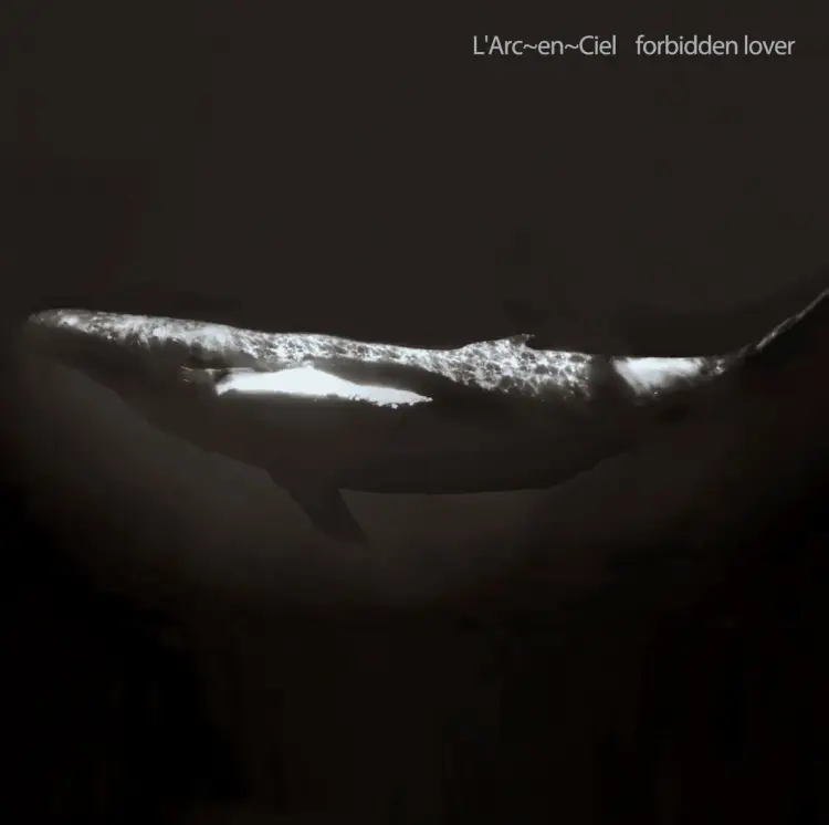 Portada del álbum forbidden lover