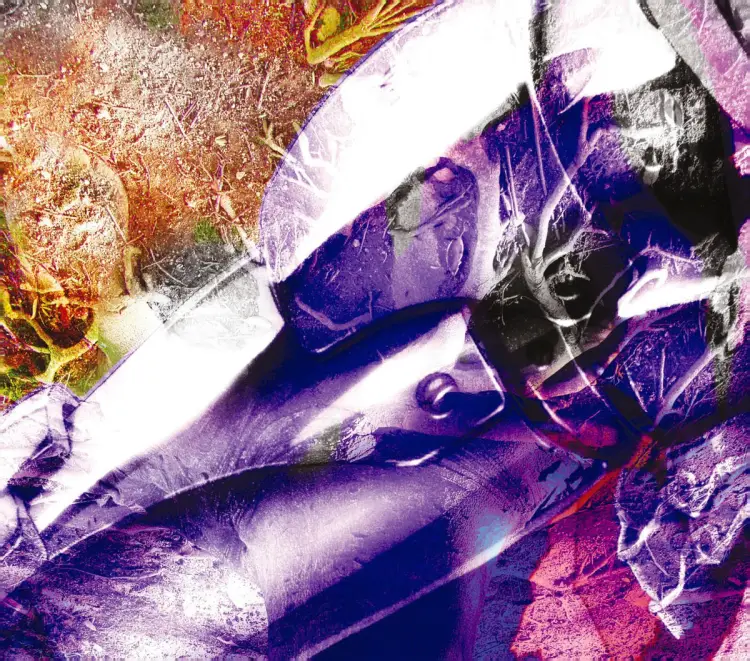 Portada del álbum Link