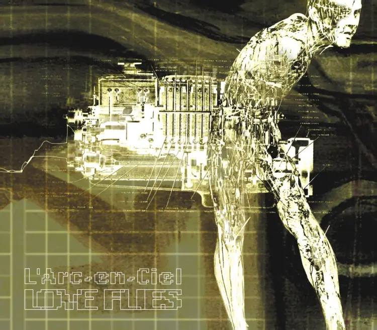 Portada del álbum LOVE FLIES