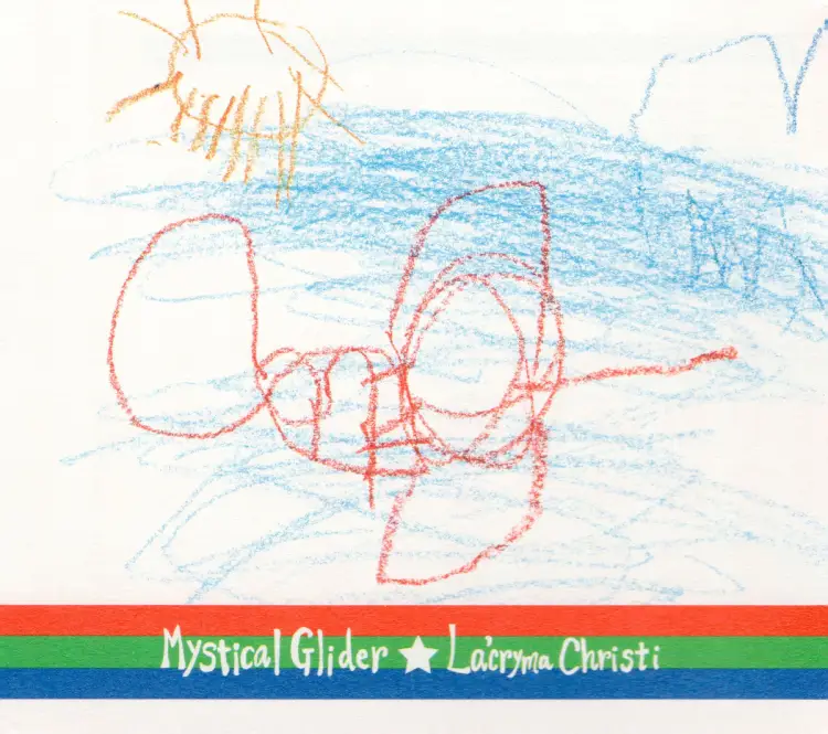 Mystical Glider