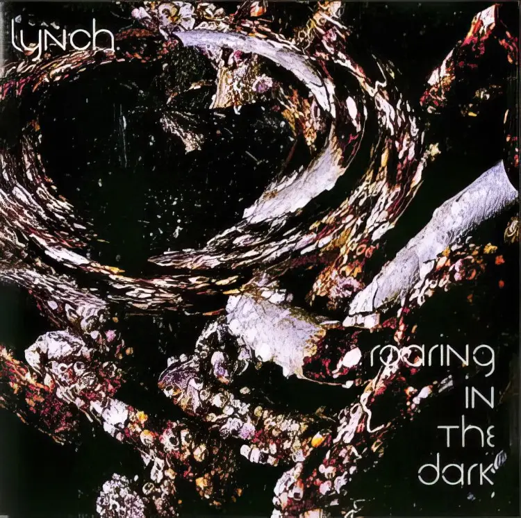 Cover: roaring in the dark