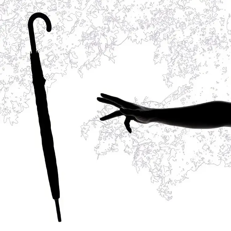 Portada del álbum Ame no orchestra