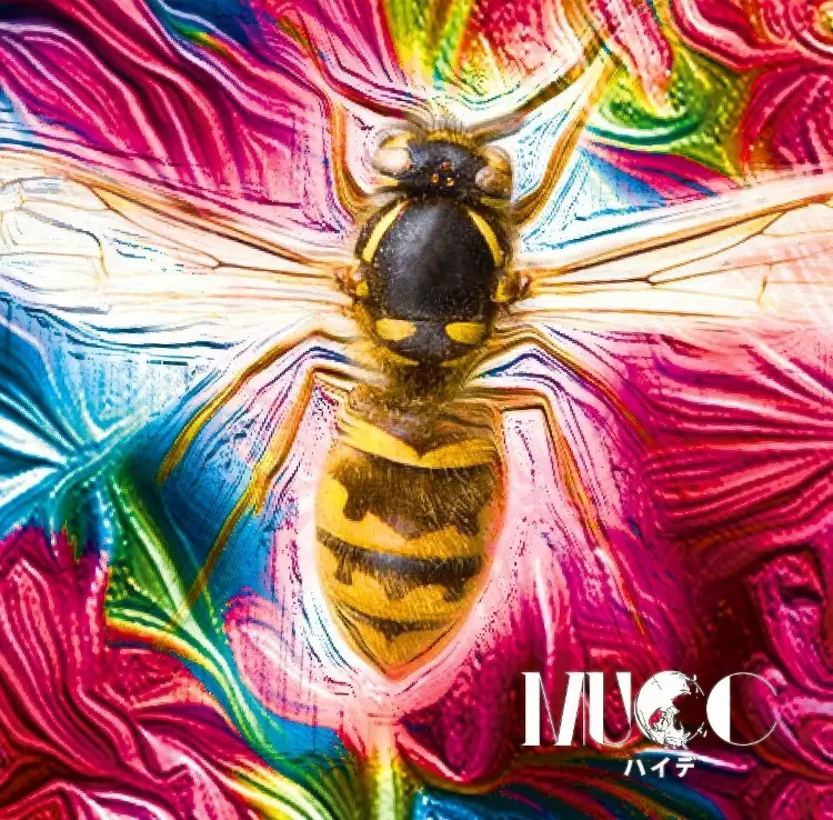 Portada del álbum Haide