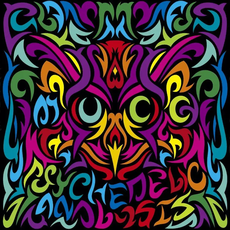 Portada del álbum PSYCHEDELIC ANALYSIS