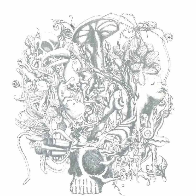 Portada del álbum anima