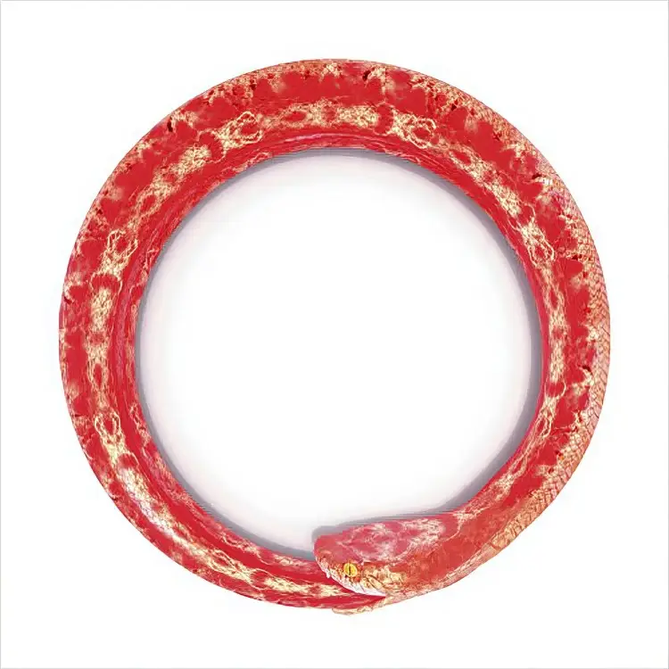 Cover: Kanzen Kankaku Dreamer