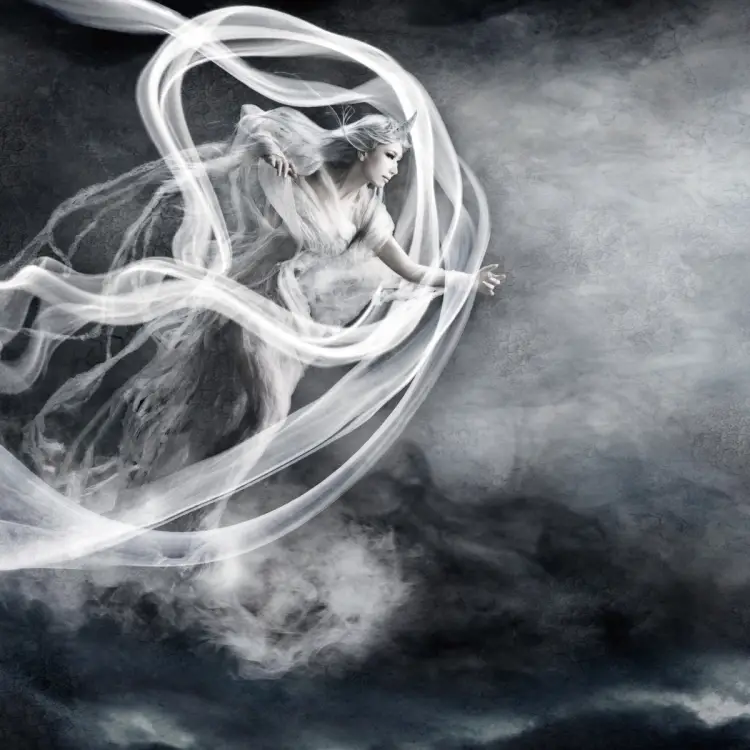 Portada del álbum Fuujin Kaikou