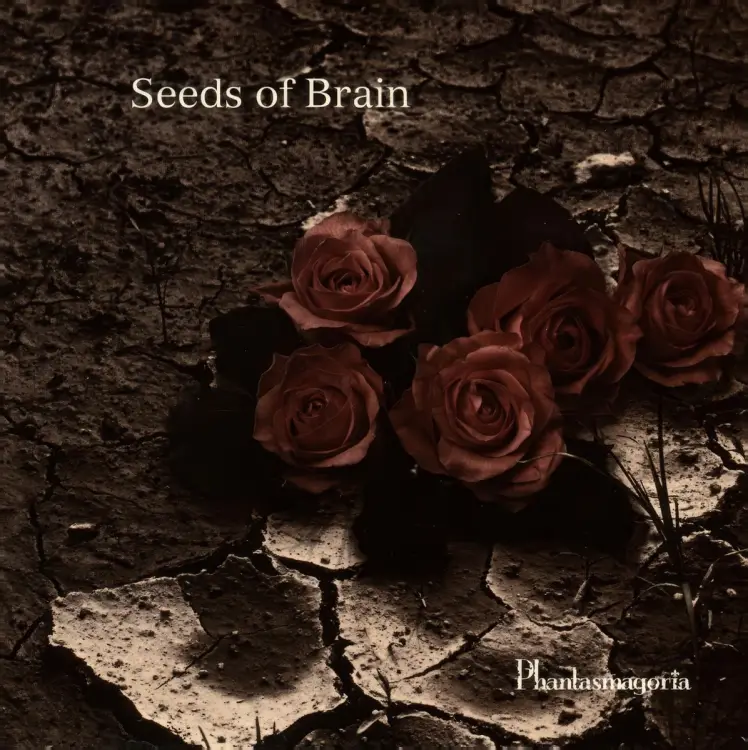 Seeds of Brain