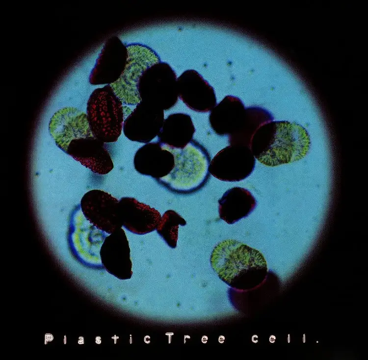Portada del álbum cell