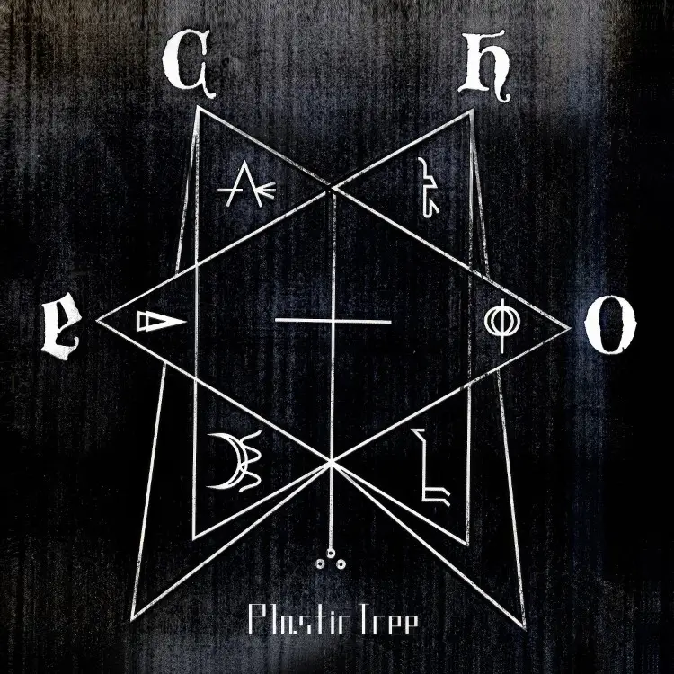 Portada del álbum echo