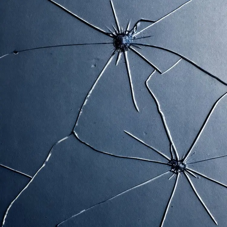 Álbum más descargado - Jomyaku de Plastic Tree