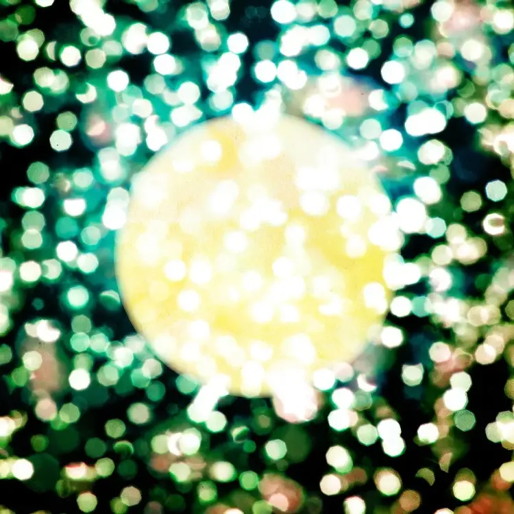 Portada del álbum Moonlight ----