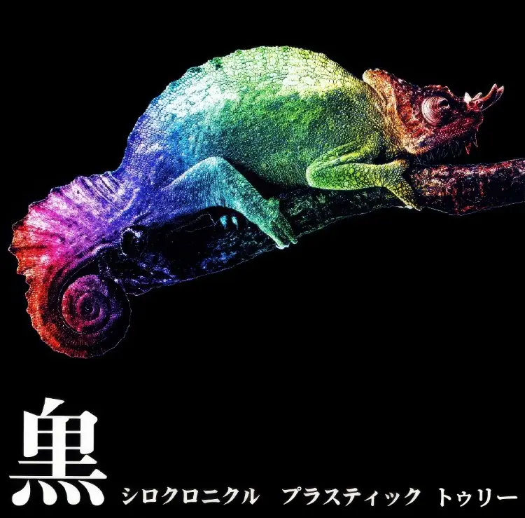 Portada del álbum Shiro Chronicle