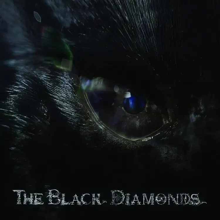 Portada del álbum THE BLACK DIAMONDS