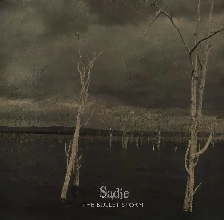 Portada del álbum THE BULLET STORM