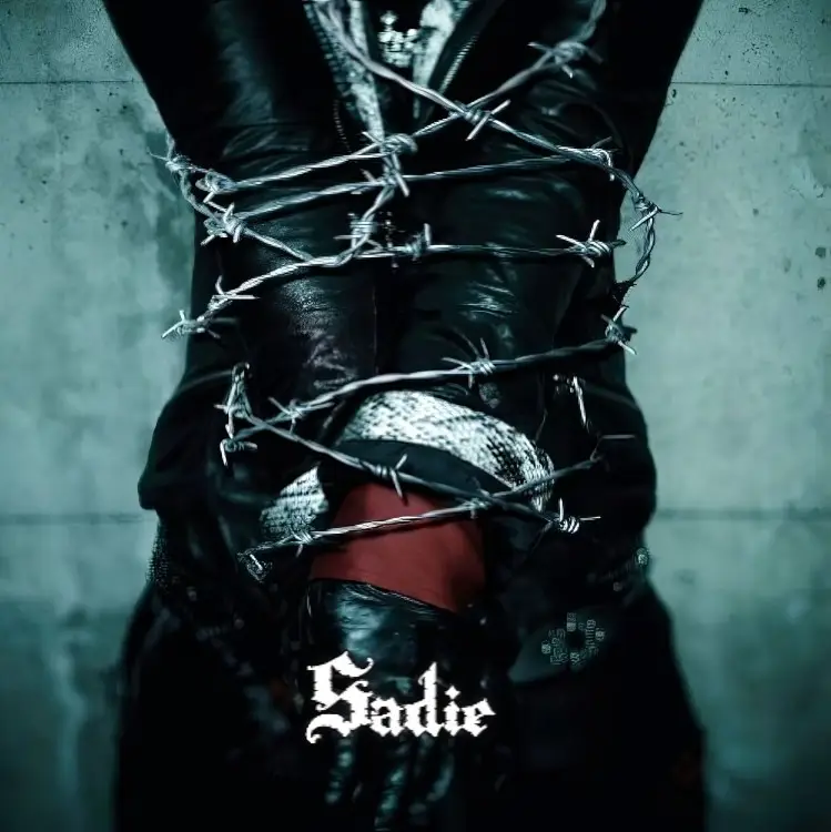 Portada del álbum Toge -toge-