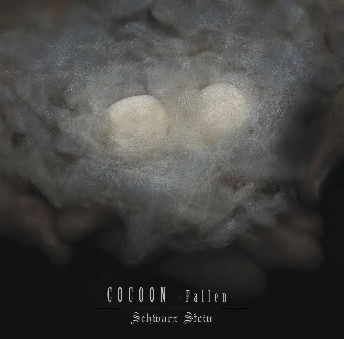 Portada del álbum COCOON (Fallen)