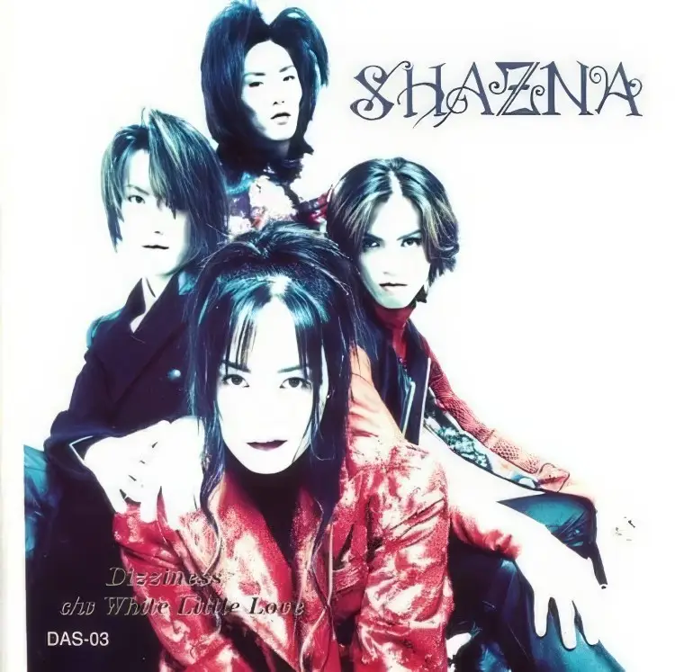 Portada del álbum Dizziness