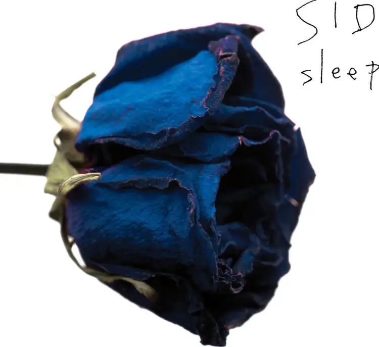 Cover: sleep