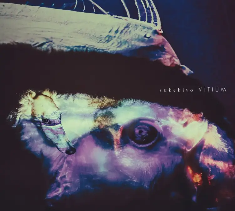 Portada del álbum VITIUM